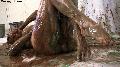 preview pic dl.messygirlvideos.com